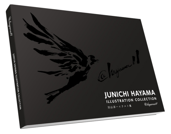 junichi hayama illustration book 2